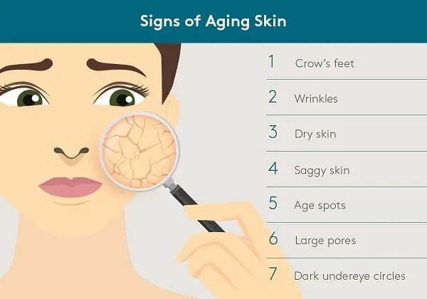 Dit is een infographic over het verouderingsproces van de huid. Hier worden op de foto een 7 tal kenmerken genoemd van de ouder wordende huid.