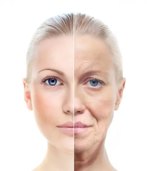 Dit is een foto van een vrouw met een jong en oud gezicht. Het is de bedoeling het verouderingsproces in beeld te brengen.