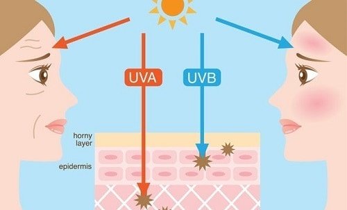 Deze foto kan gezien worden als een infographic over uva en uvb straling. Beide zonnestralen zijn op de lange termijn schadelijk voor de huid. Het zorgt voor een afbraak van collageen en elastine.